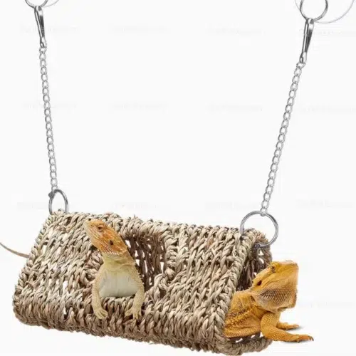 Wholesale Lizards Hanging Seagrass Hide with Suction Mount