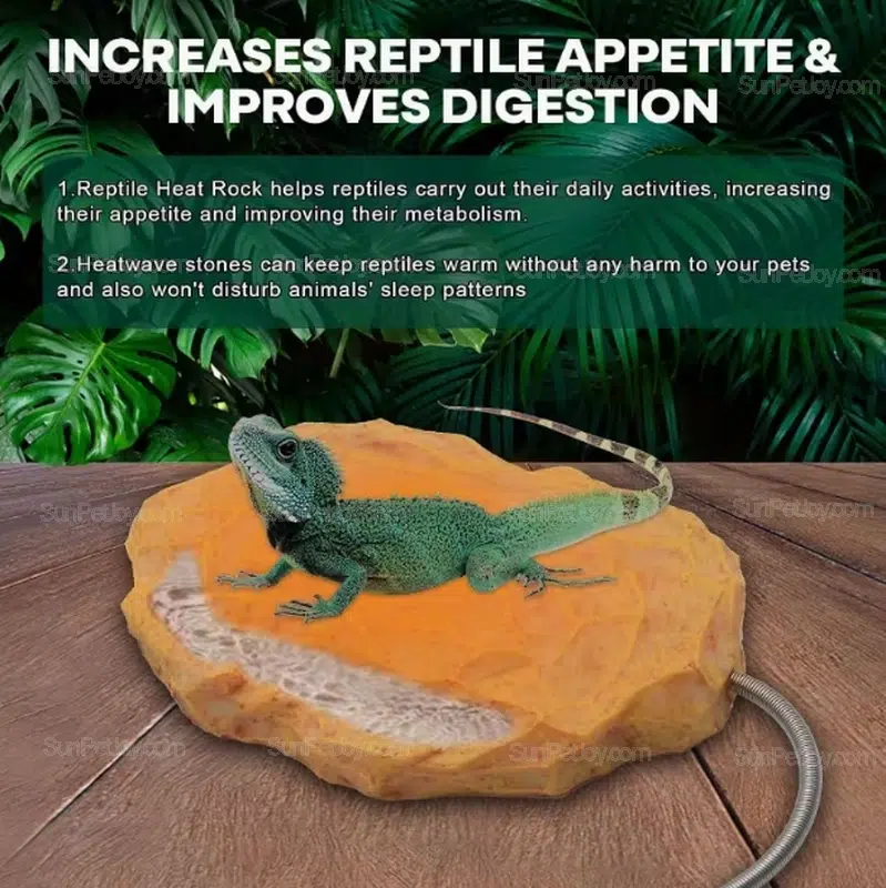 Wholesale Lizards Heat Rock with Adjustable Temperature Control - Image 3