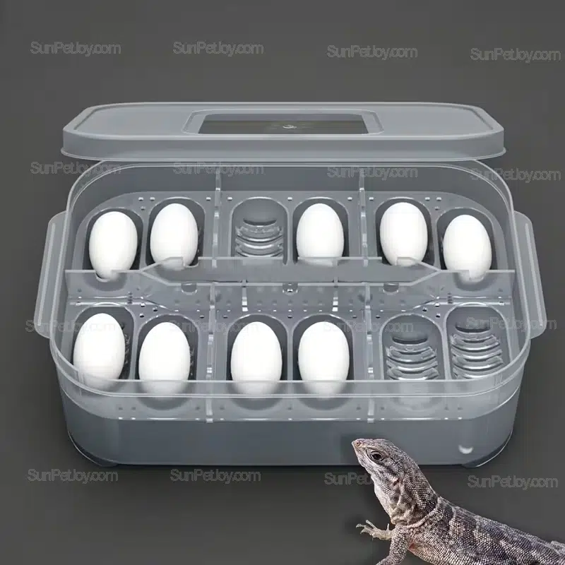 Wholesale Lizards Incubation Box for Breeding and Egg Hatching