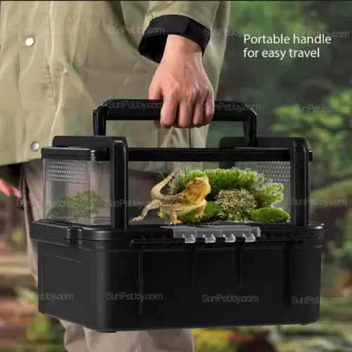 Wholesale Lizards Portable Double-Layer Observation Cage