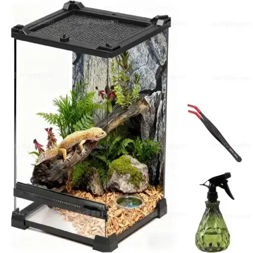 Wholesale Lizards Rainforest Glass Terrarium 8x8x12