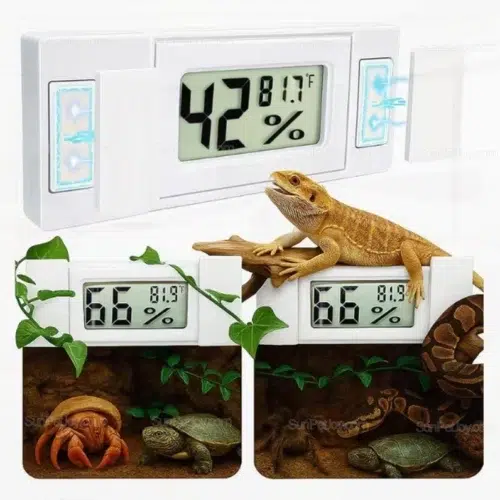 Wholesale Magnetic Thermometers for Lizard Terrariums