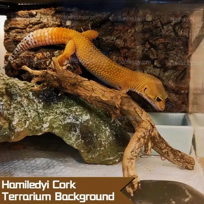 Wholesale Natural Cork Bark Panels for Lizards Climbing Walls - Image 6