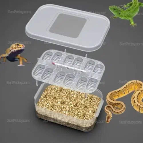 Wholesale Snakes Egg Incubator Tray, 12-Cell Clear Hatch Box