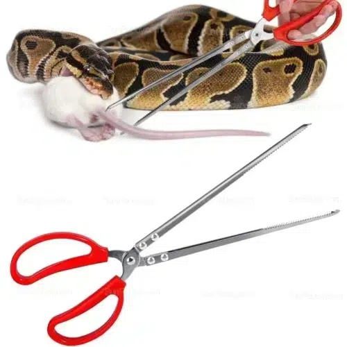 Wholesale Snakes Feeding Tongs, 15in Long Stainless Steel
