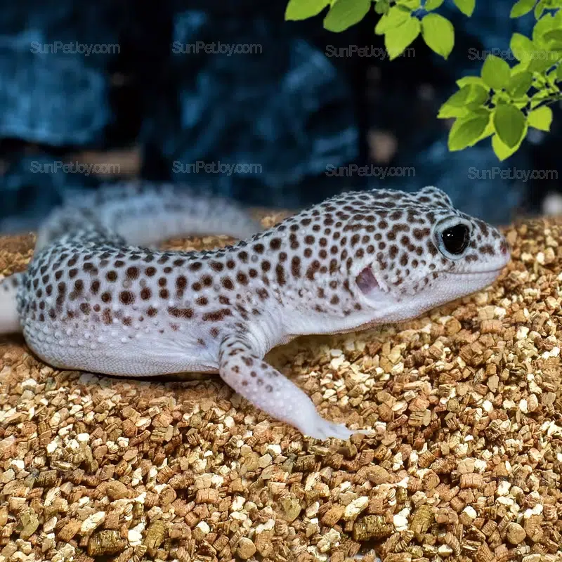 Wholesale Vermiculite Substrate for Lizards - Moisture Control - Image 3