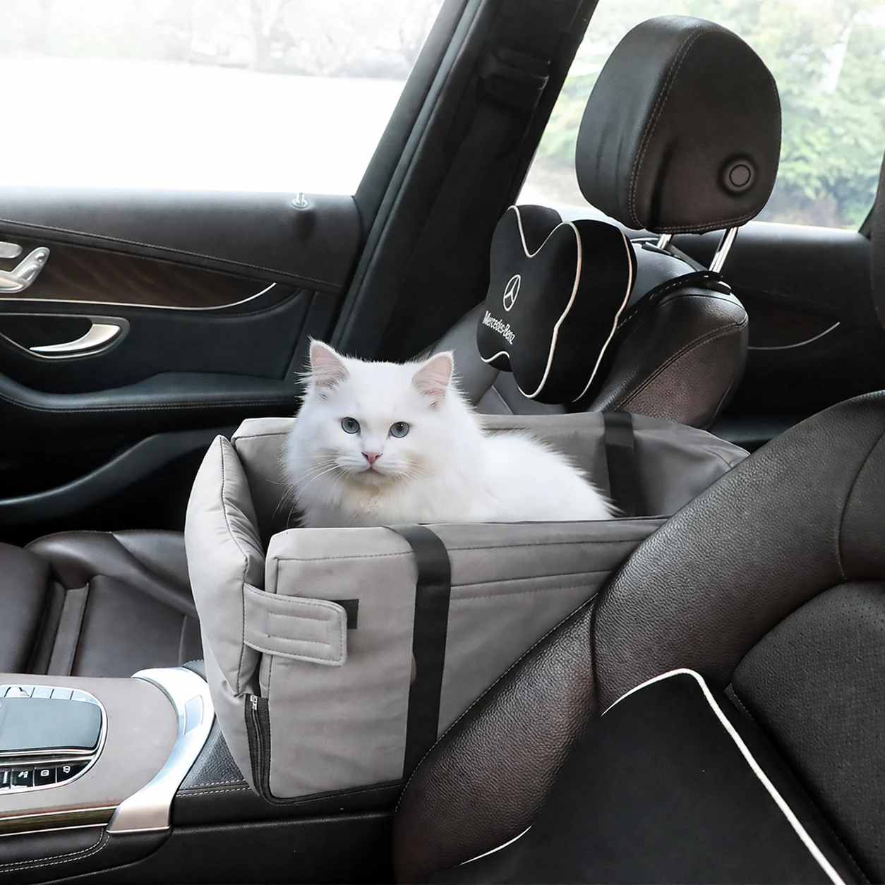 Cat Seat For Car