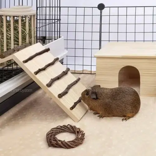 OEM Small Animals Wooden Ramp with Anti-Slip Branch Steps