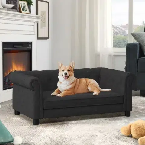dog sofa bed