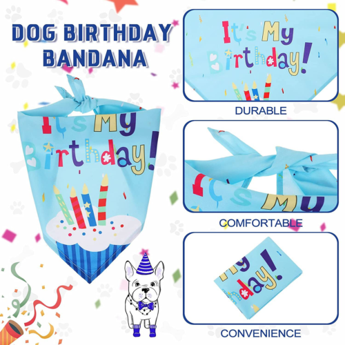 Custom Dog Birthday Hat with Bandana and Number Set