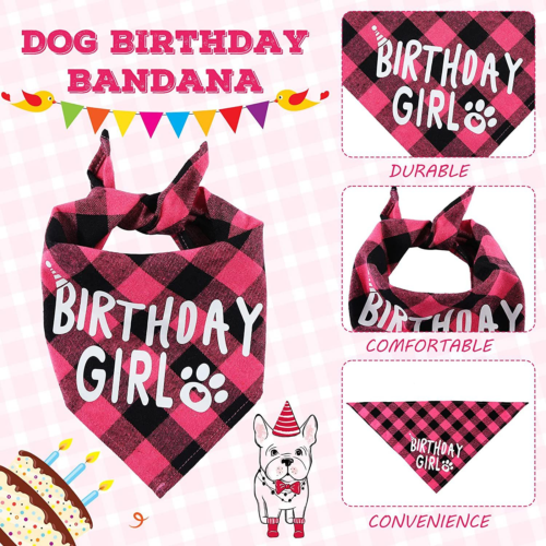 Custom Dog Birthday Hat with Bandana and Number Set