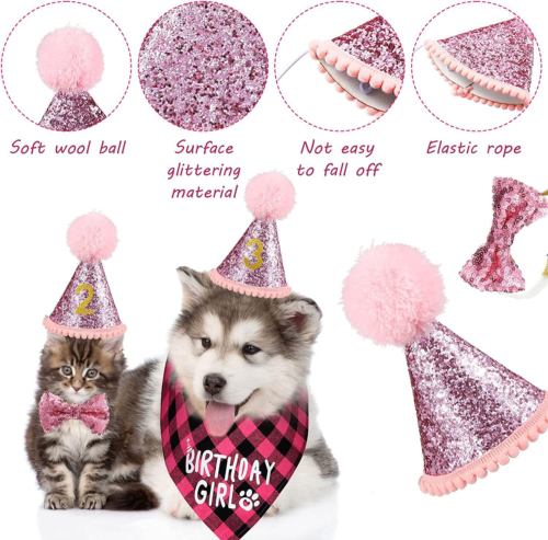 Custom Dog Birthday Hat with Bandana and Number Set