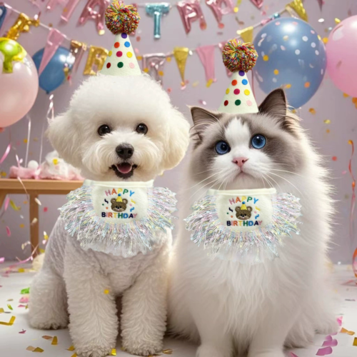 Custom Dog Birthday Hat with Bandana and Number Set