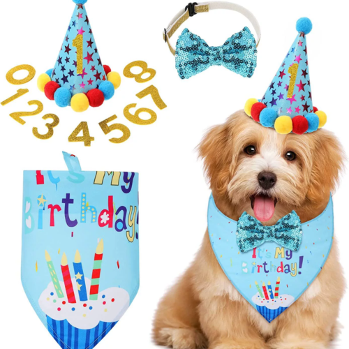 This polyester dog birthday hat set includes a birthday hat, sequin bow collar, printed bandana, and interchangeable number accessories for pet party wear and photo use.