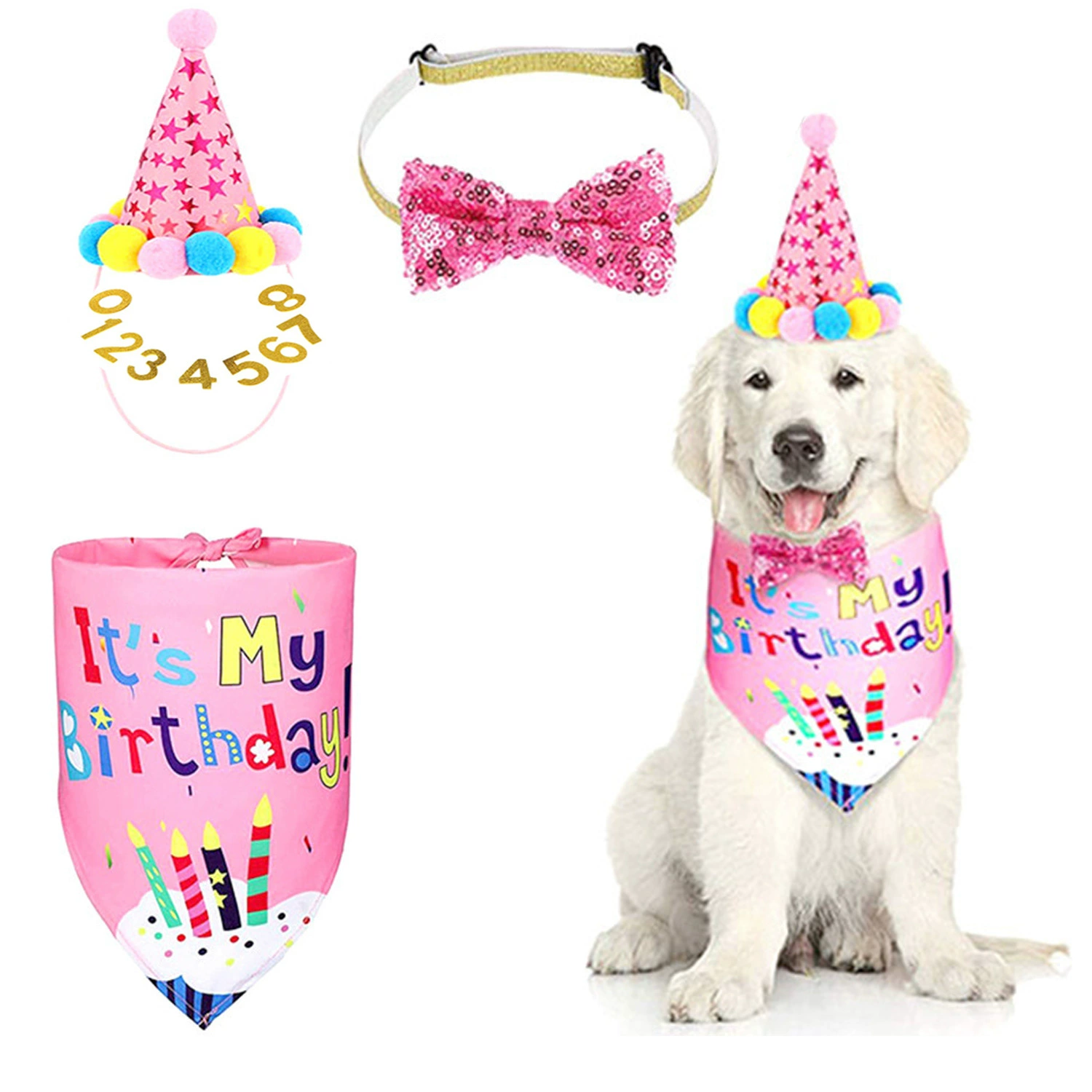 Custom Dog Birthday Hat with Bandana and Number Set
