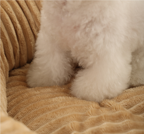 Bolster Round Dog Bed for Wholesale