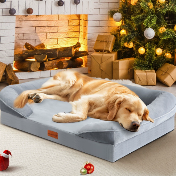foam dog bed