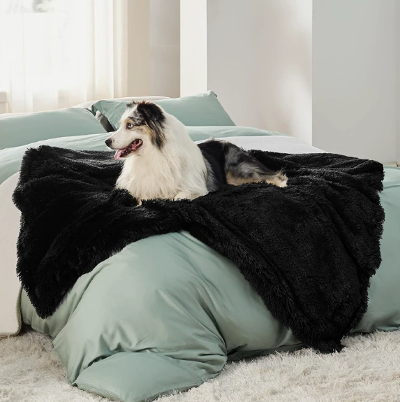 Big Dog Blankets - Image 3