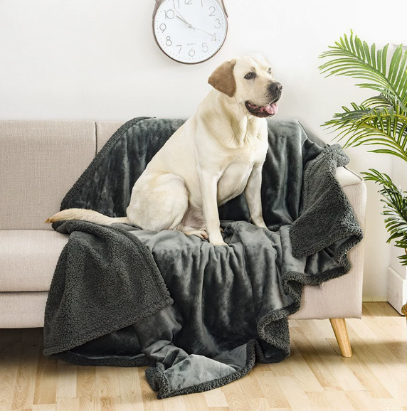 Fleece Dog Blankets