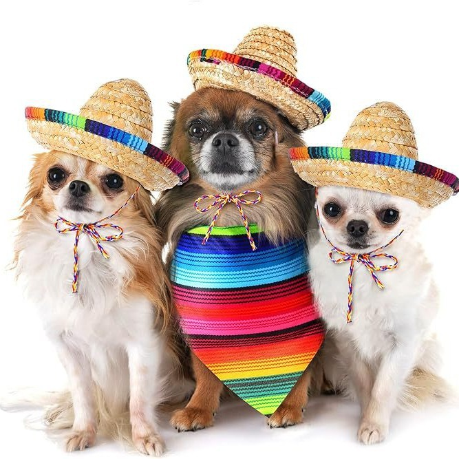 Wholesale Dog Straw Hat in Straw Weave