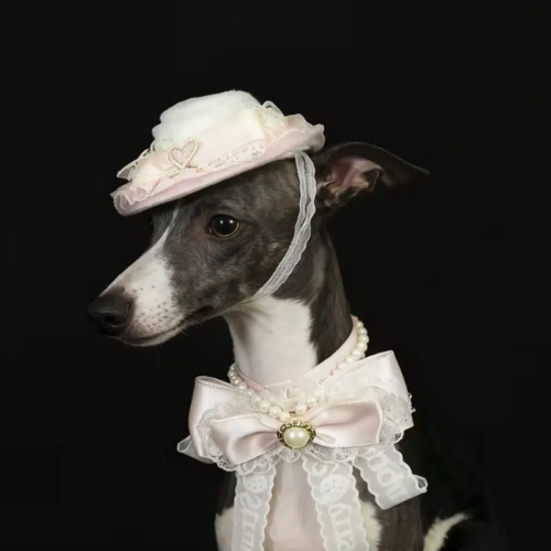 Wholesale Dog Straw Hat in Straw Weave