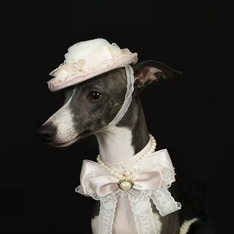 Wholesale Dog Straw Hat in Straw Weave