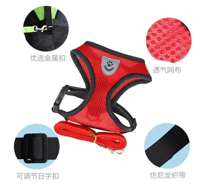 Best Dog Harness