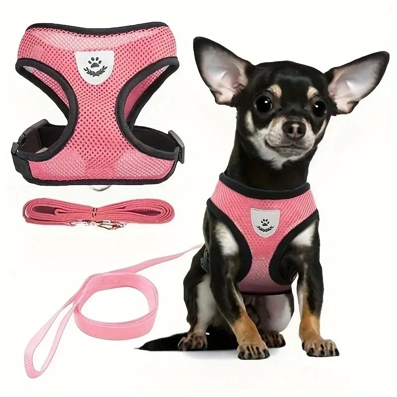 Best Dog Harness
