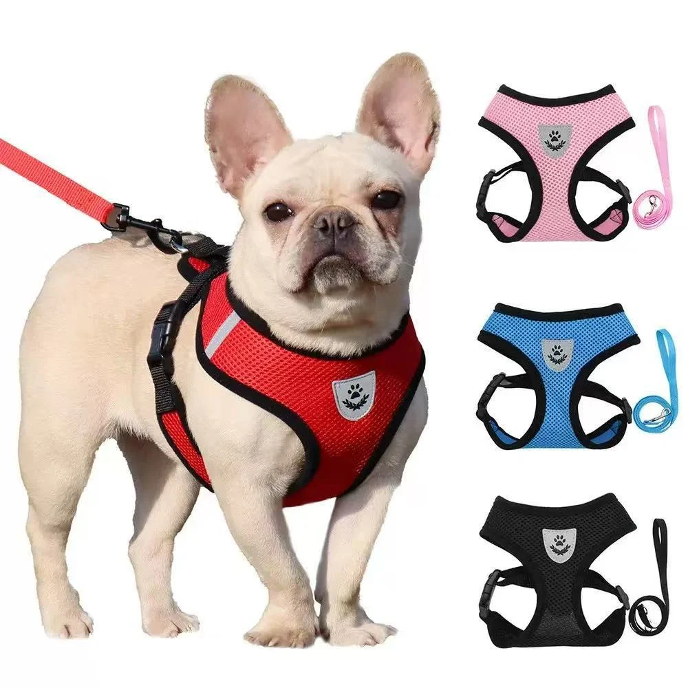 Best Dog Harness