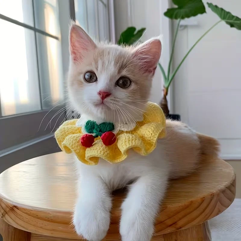 Cat Bandana Collar