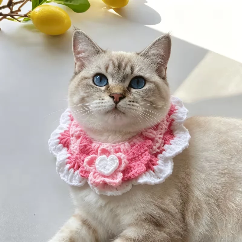 Cat Bandana Collar