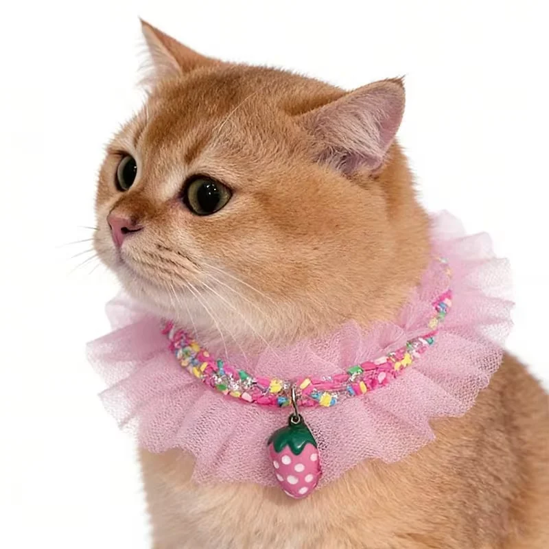 Cat Bandana Collar