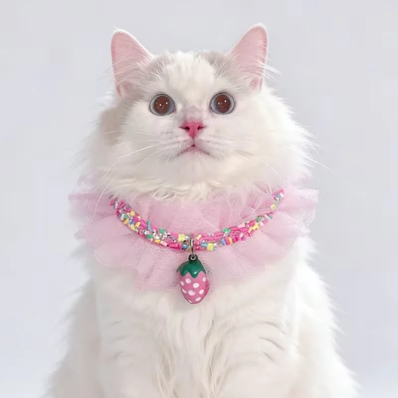 Cat Bandana Collar
