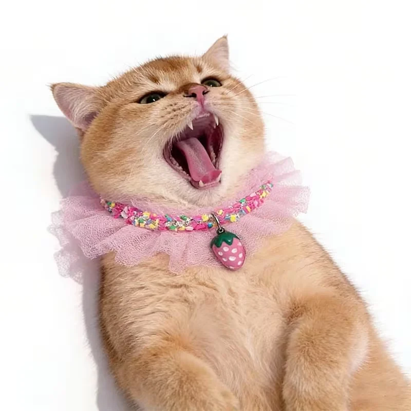 Cat Bandana Collar
