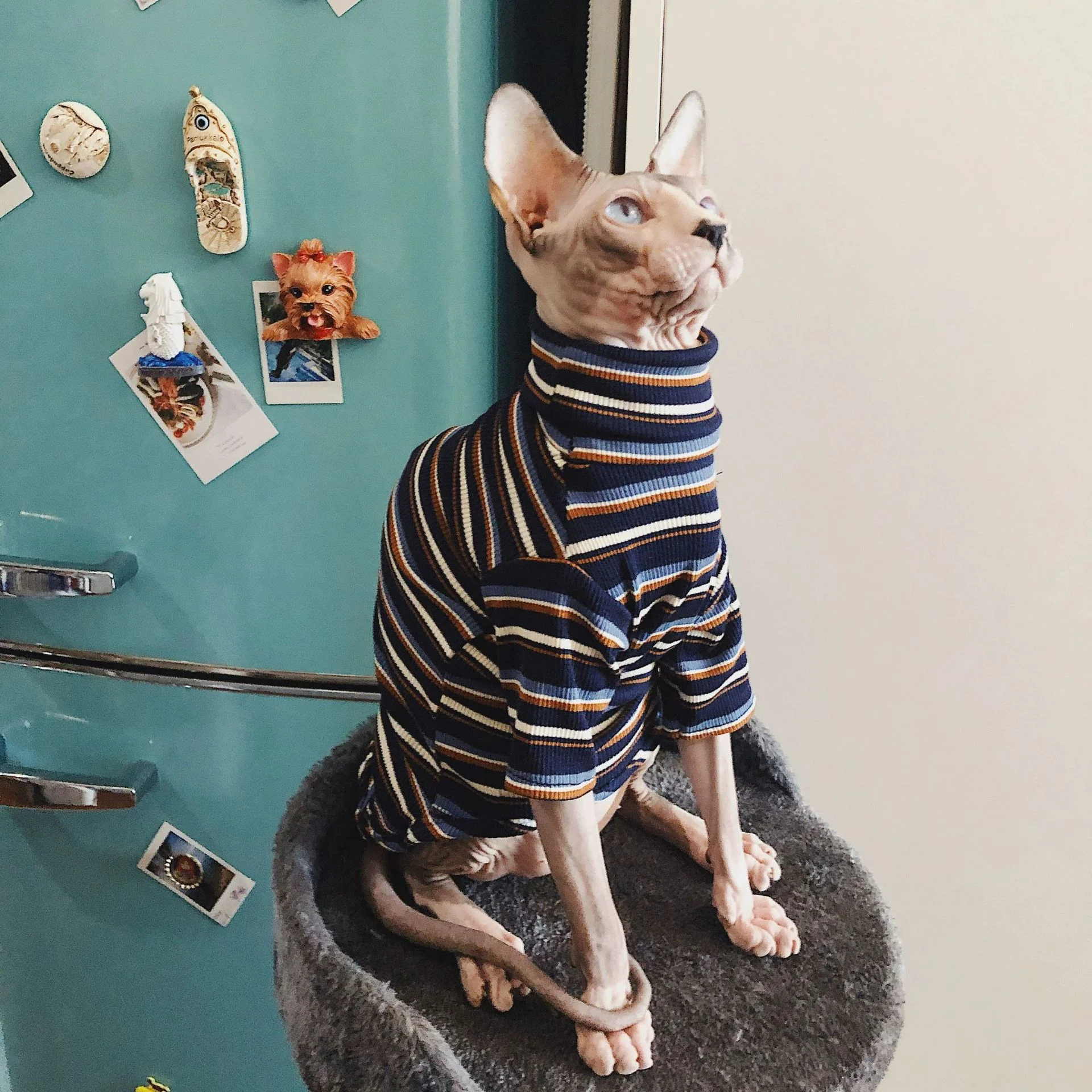 Cat Bodysuit Costume