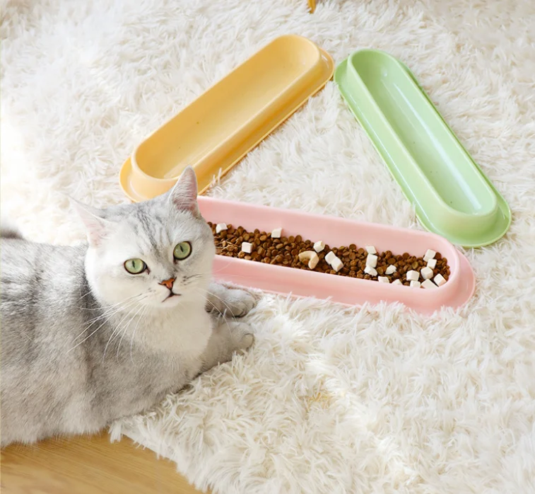 Cat Bowls
