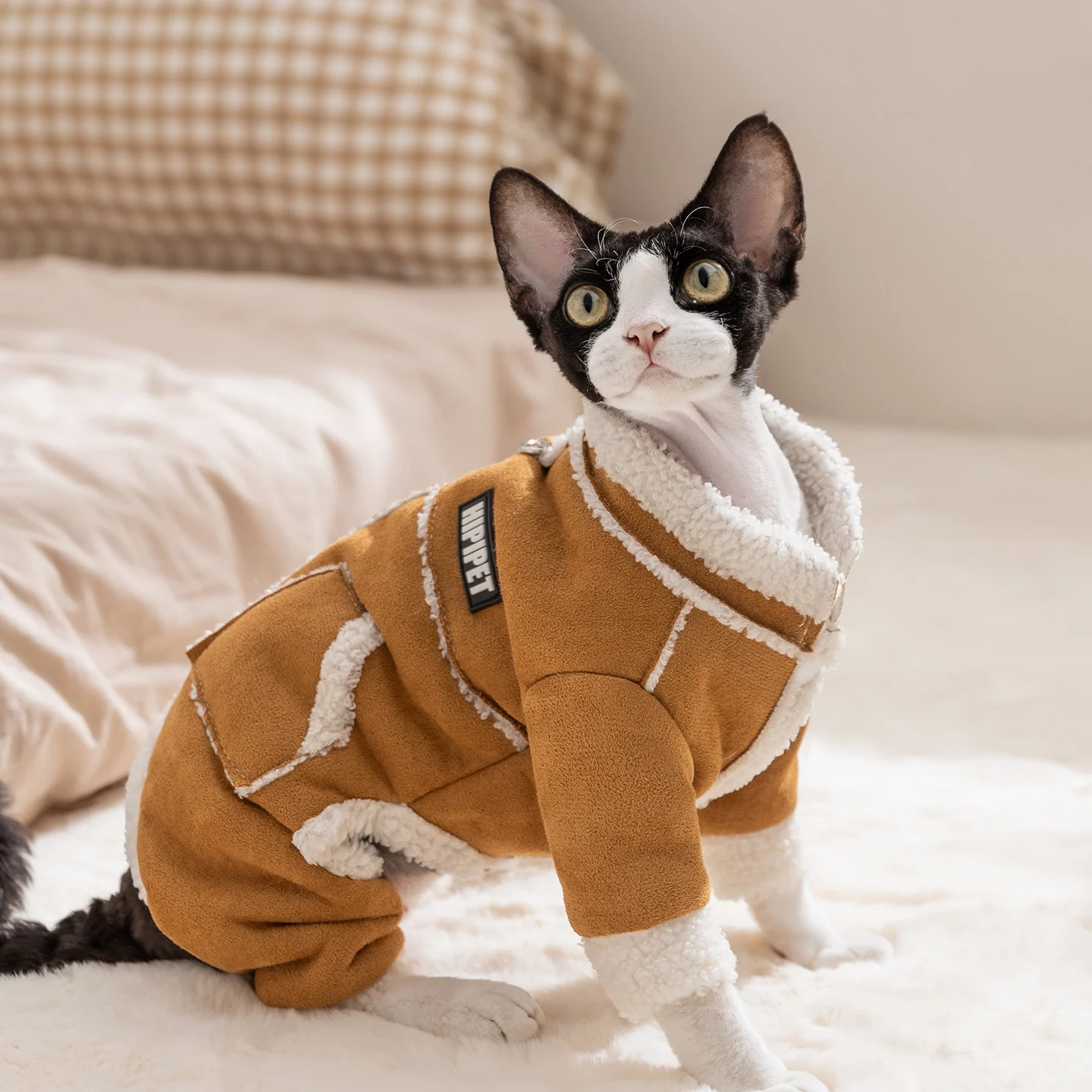 Cat Coats For Winter