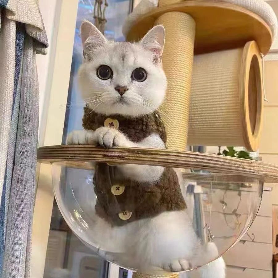 Cat Fleece Jacket
