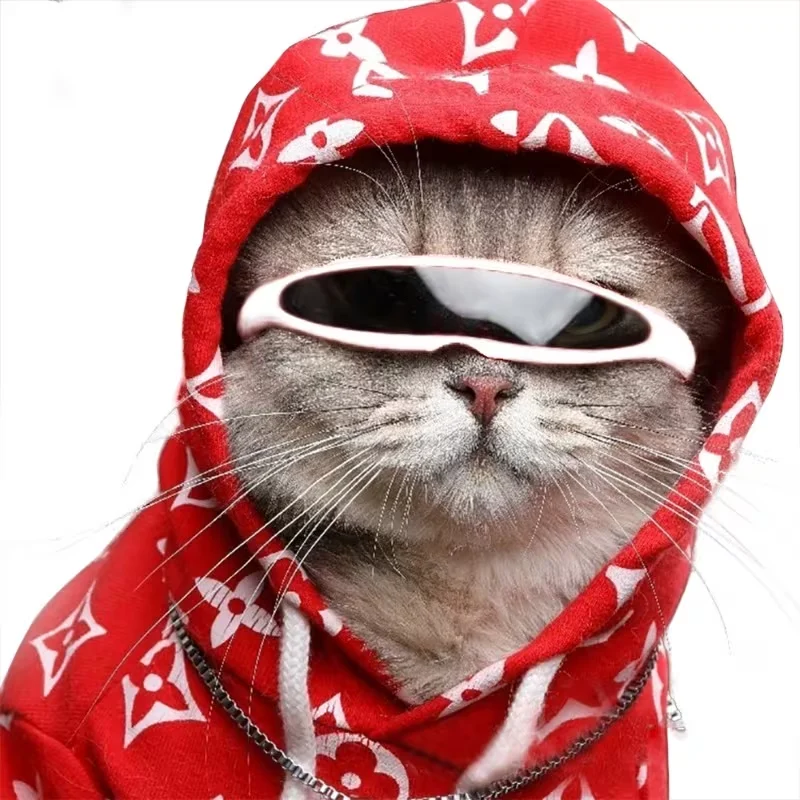 Cat Goggles