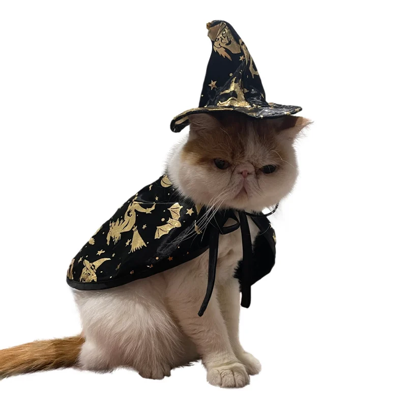 Cat Halloween Costumes