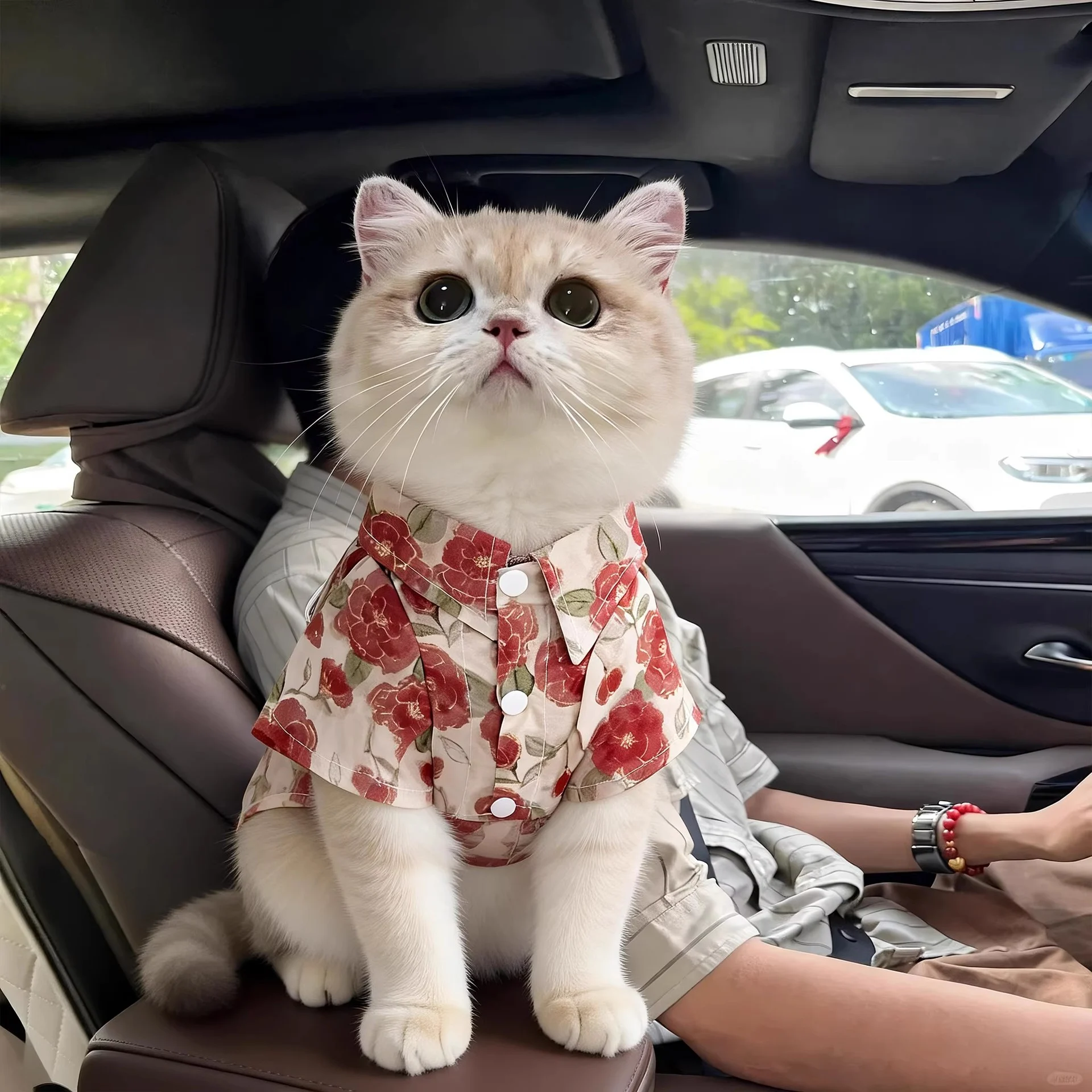 Cat Hawaiian Shirt
