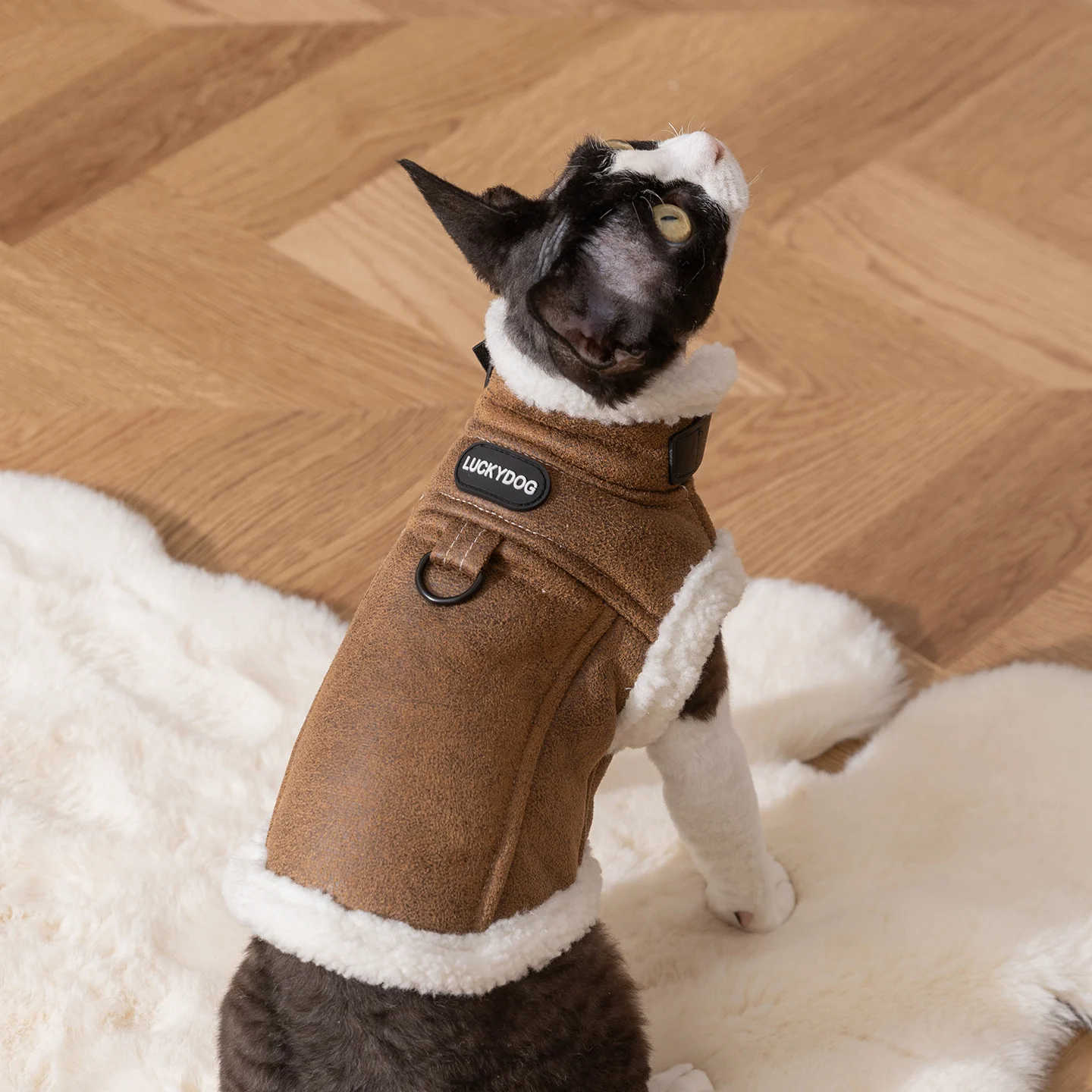 Cat Jacket