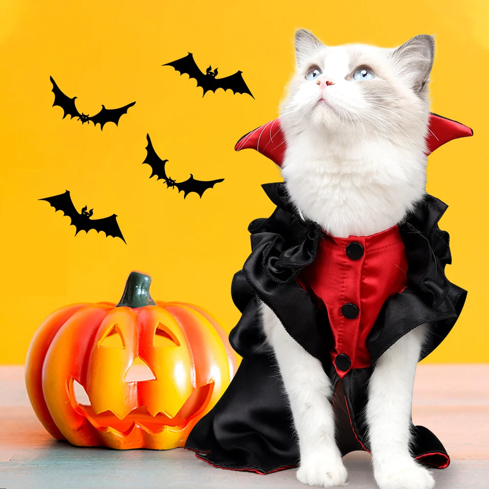 Cat Outfit Halloween