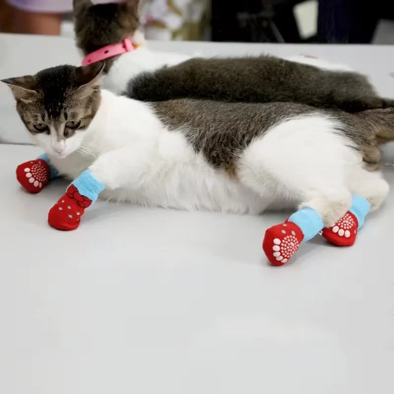 Cat Paw Socks