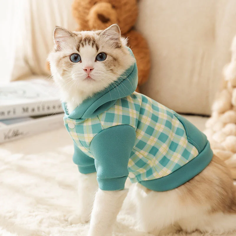 Cat Pouch Hoodie