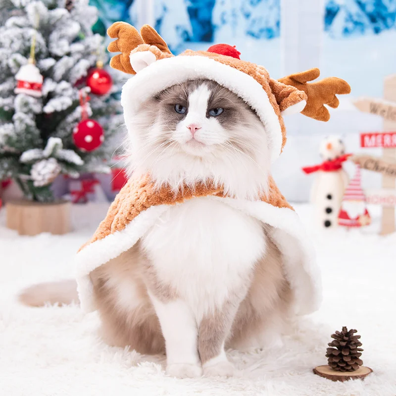 Cat Reindeer Costume