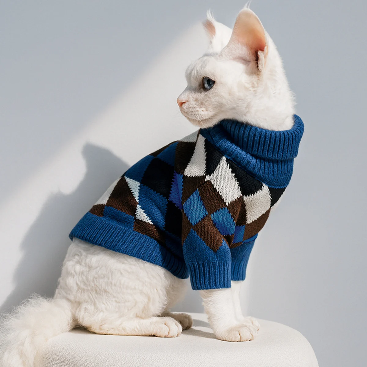 Cat Sweater Knitting