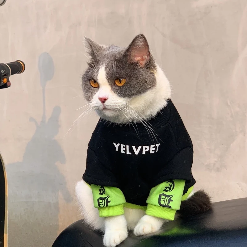 Cat Sweatshirt