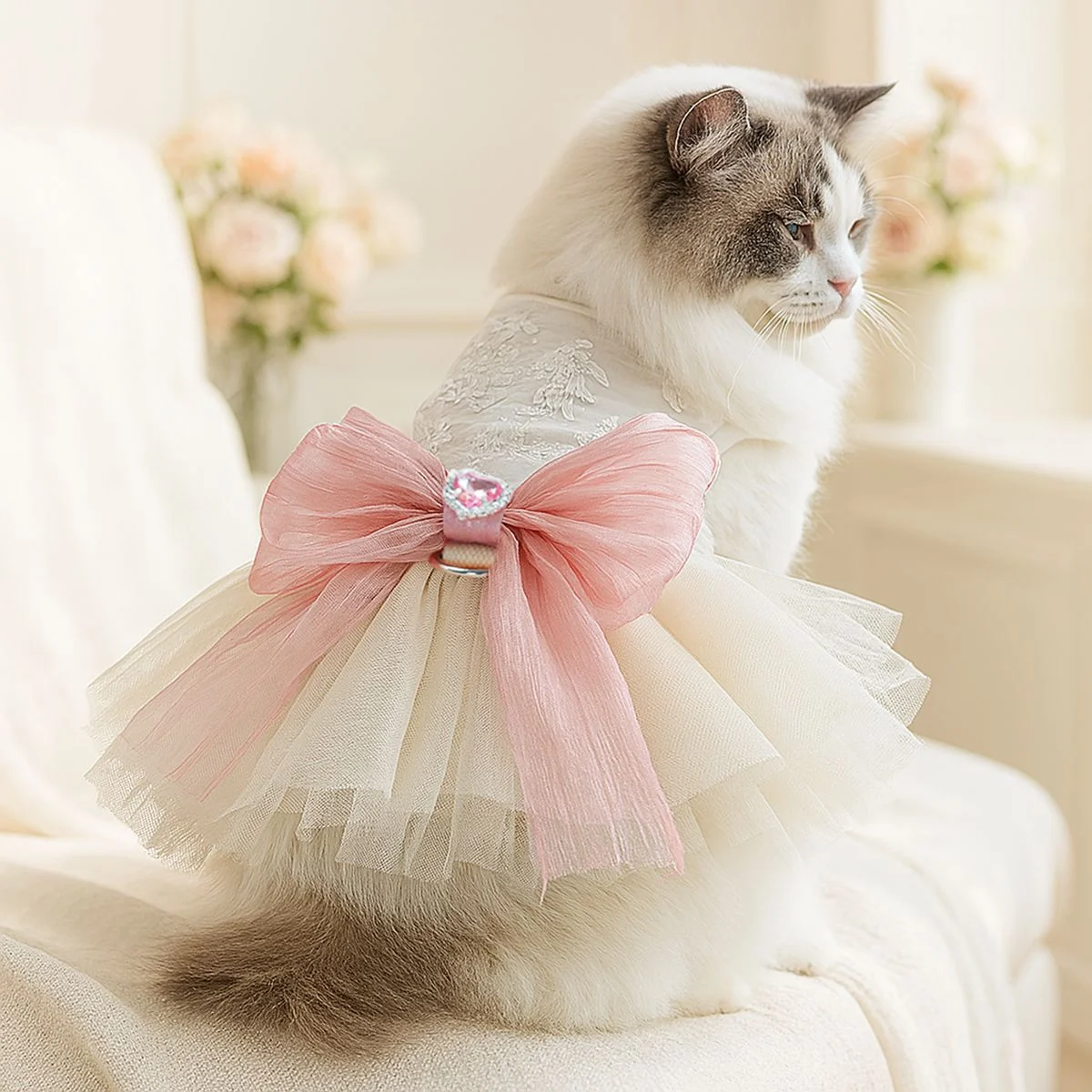 Cat Wedding Clothes - Image 2