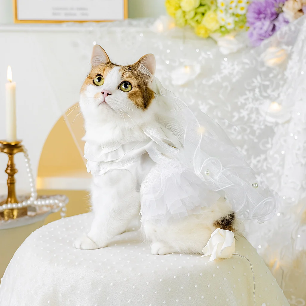 Cat Wedding Dress - Image 4